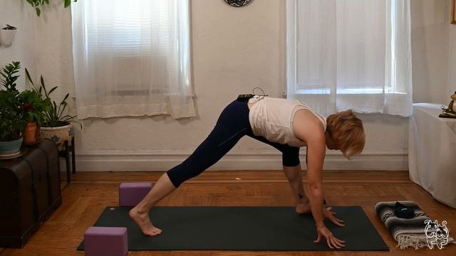 Increase Spinal Flexibility (Vinyasa Yoga) смотреть онлайн
