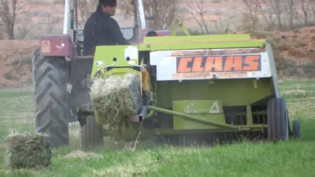 Sony DSC-HX300/B Test Video