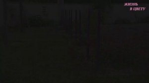 Поставили ЗАБОР!/Что сделать чтобы не гнили деревянные столбы в земле #3