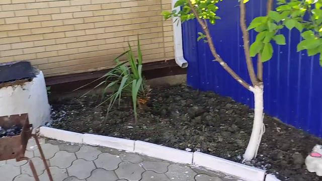 Наше первое мая! смотреть онлайн