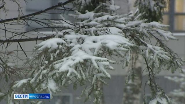 В Ярославской области продолжает действовать экстренное предупреждение МЧС смотреть онлайн