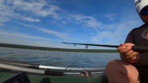 Лучшая наживка для ловли сома на квок