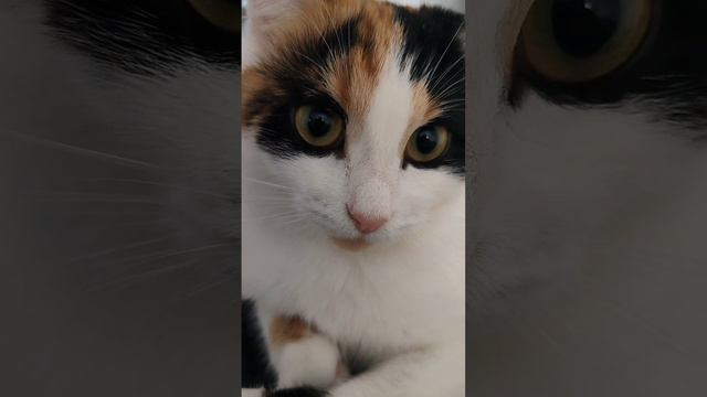 🥰😘 смотреть онлайн