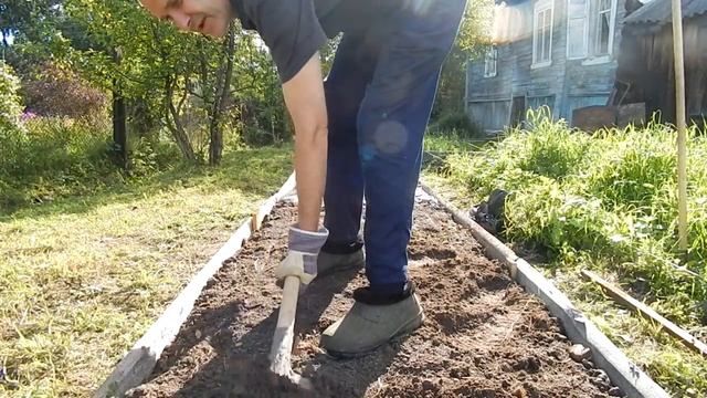 Грядка под КЛУБНИКУ смотреть онлайн