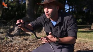 ЗМЕЯ УКУСИЛА В ЛИЦО / Койот Питерсон на русском