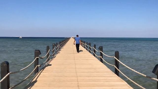Выбирайте отдых в Египте 2021. Красота Красного моря. смотреть онлайн