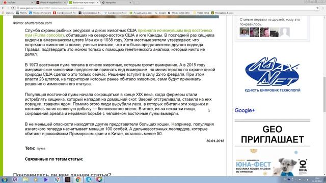 ВОСТОЧНУЮ ПУМУ ИСТРЕБИЛИ В США. веб рассказ смотреть онлайн