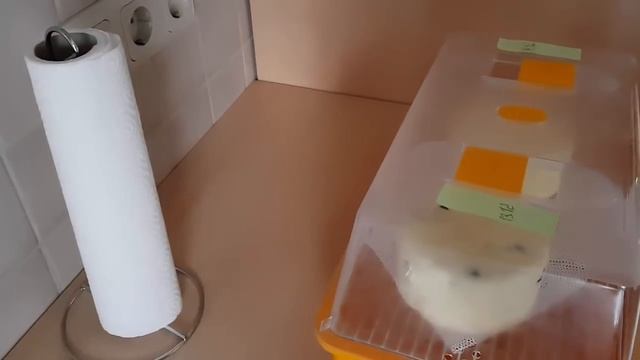 Холодильник с сырами