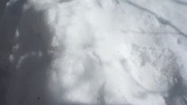 25 февраля - Сад и ульи. смотреть онлайн