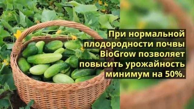 марганец удобрение смотреть онлайн