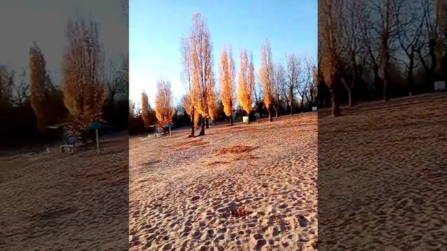 энергияЛюбви бывает счастьем наделяет людей взаимностью объединяет ❤️ друзья подруги и поляна 😍😍😍😘😘 смотреть онлайн