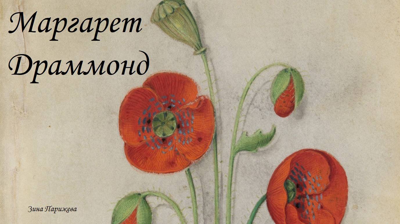 Маргарет Драммонд (ок. 1340 — после 31.01.1375) смотреть онлайн