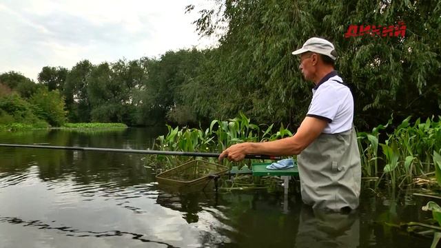 Секреты успеха. Плотва на "леденец" взаброд смотреть онлайн