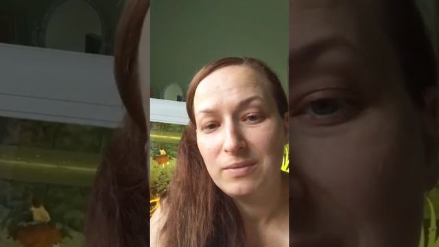 Мой опыт работы кинологом Часть 2 смотреть онлайн