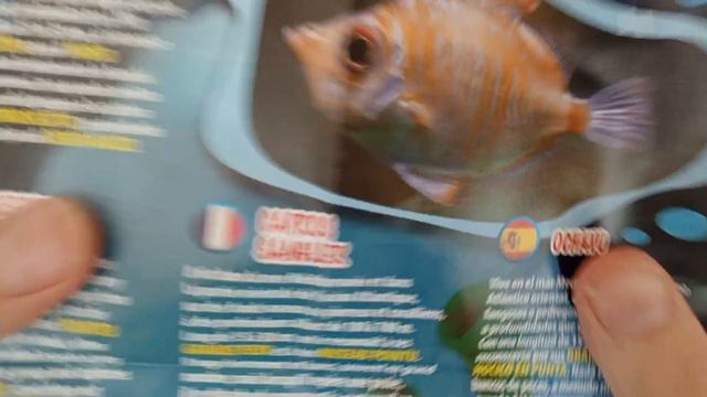 Распаковка игрушек от #sbabam и DeAgostini. 1440p (2K).