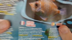 Распаковка игрушек от #sbabam и DeAgostini. 1440p (2K).