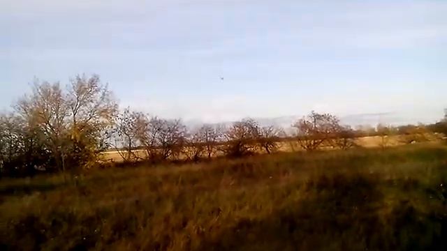 Тренировка спортивных голубей, 3 октября 2016 года. смотреть онлайн