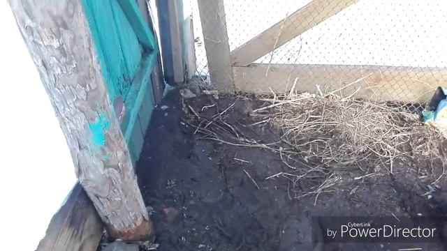 #ОбзорОгородТеплица Обзор огорода и теплицы на 10 марта/Жизнь в селе. смотреть онлайн