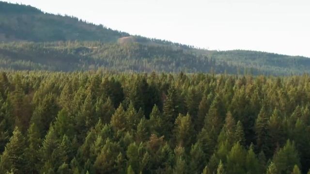 Музыка для медитации - American_flute_with_Sounds_of_Nature смотреть онлайн