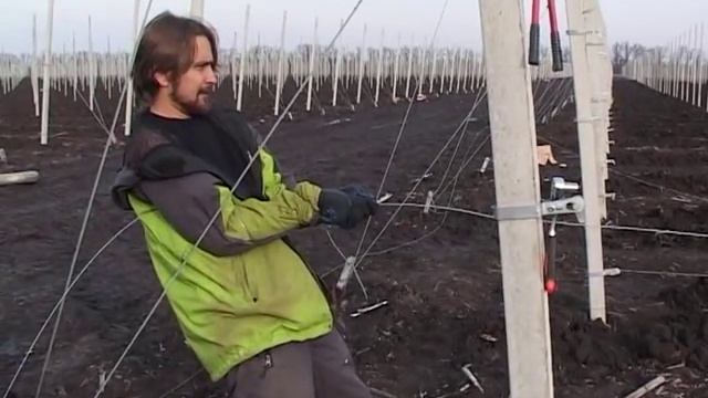 Натяжения проволоки вдоль ряда. Хомут на столб. смотреть онлайн