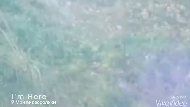 LPS: Девочка из дет дома:( У меня появилась мама?)2 серия:) смотреть онлайн