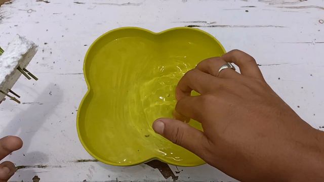 Grow Gardenia Flower Cuttings  Using Thermocol || How To Grow Gardenia Flower From Cuttings