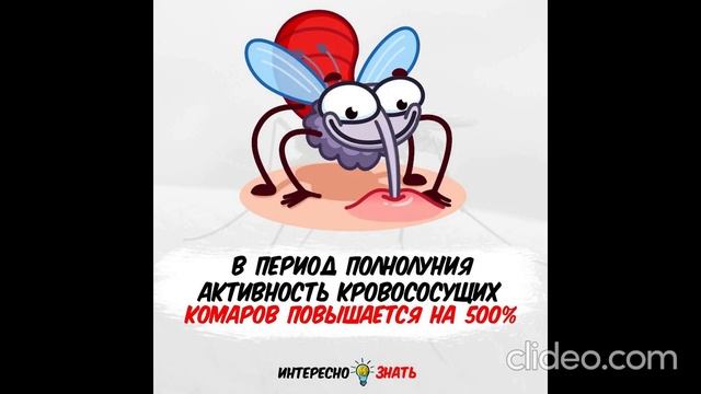 утро вторника 18.07 смотреть онлайн