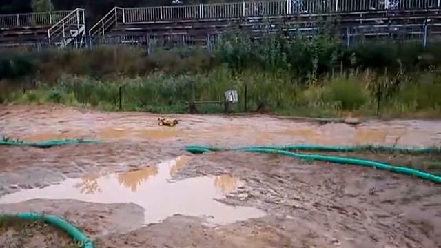 СНГ 2011 3й этап Багги 8Е смотреть онлайн
