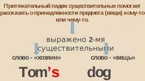 Урок 18. Притяжательный падеж. Как сказать, что предмет принадлежит кому-то.