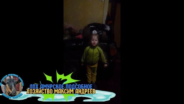 Стих на 23 февраля для ПАПЫ! смотреть онлайн