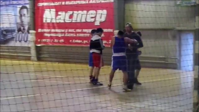 Боксеры   Ермолаев   Сокол