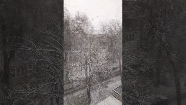 Winter has come to Moldova. There has been no snow for 2 years, we rejoice like children смотреть онлайн