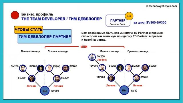 VYVO - Маркетинг план (пошагово) компании VYVO (Виво) | Людмила и Евгений Степанович смотреть онлайн