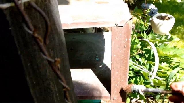 Мой сад в начале лета. Лайфхаки, реставрация, советы и обзор цветов. смотреть онлайн