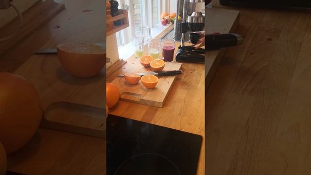 Cancan 0103. Professional Manual Citrus Juicer. Long Instructional Video.