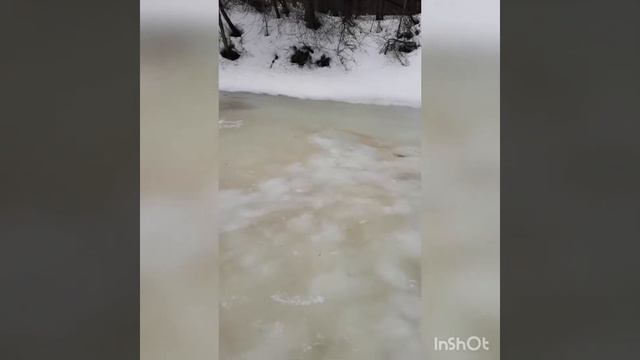 Открытие сезона летней рыбалки смотреть онлайн