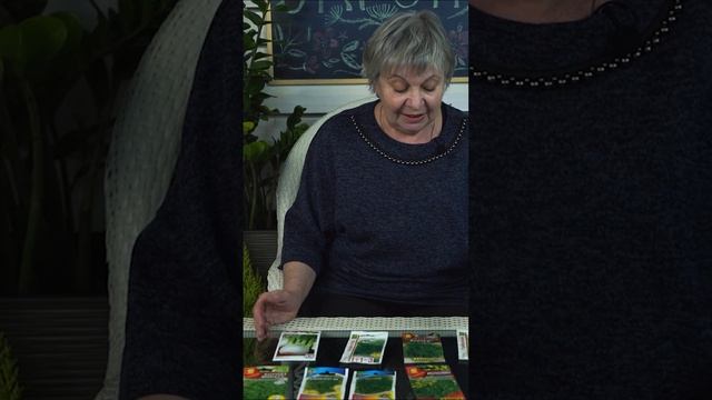 Какие сорта укропа я сажаю каждый год ✔️ смотреть онлайн