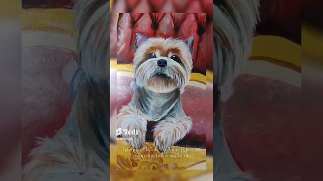 Рисунок Йоркширского терьера 🐾 смотреть онлайн
