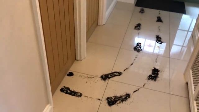 ? THE BLACK BITS ? смотреть онлайн