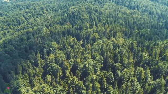 Музыка лечит сердце и сосуды🌿 Успокаивающая музыка восстанавливает нервную систему,расслабляющая #3 смотреть онлайн