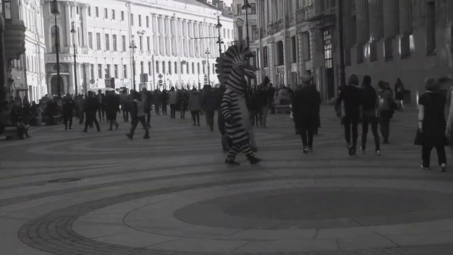 Мое сердце остановилось СПБ смотреть онлайн