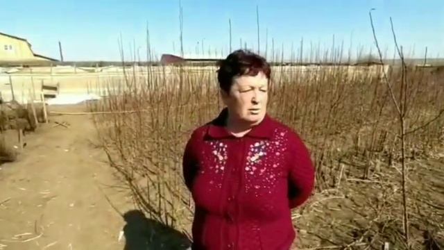 Выпуск 2. Экскурсия в питомник 