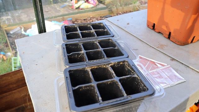 Monty Don Drama, Beast From The East And Sowing Leeks - Vlog Episode 1