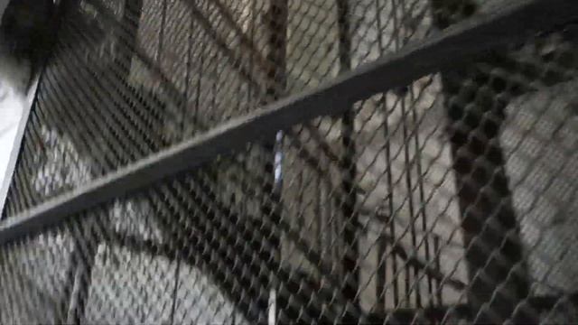 (Переснято) Полумод. Лифт МЛЗ 1971 г. @ Офисный центр "Курский" смотреть онлайн