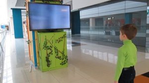 Детские игры на Xbox 360 кинект (Xbox 360 children games with kinect)