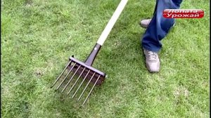 Лопата картофелекопалка “Урожай”??????