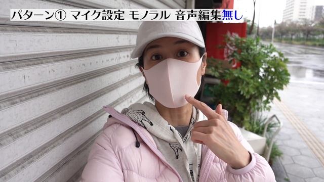 [Eng Sub] 高性能''ダブル''Vlogマイク DEITY V-Mic D4 DUO レビュー Double Mic DEITY V-Mic D4 DUO Review смотреть онлайн