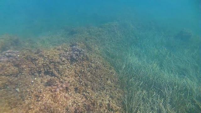 Торревьеха под водой смотреть онлайн