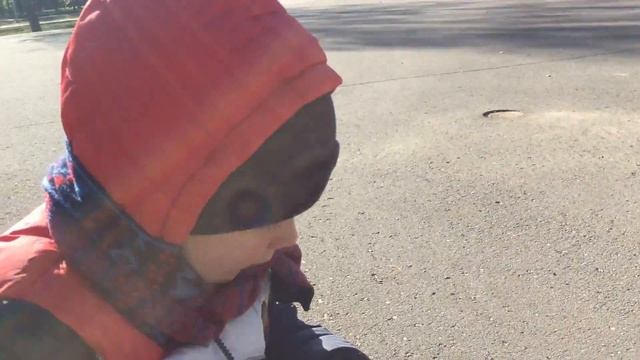 Машинка на пульте управления Машинки игрушки Ламборгини Машинка на радиоуправлении смотреть онлайн