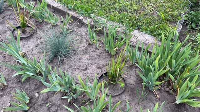 Наша дача! Невеличка ПРОГУЛЯНКА. смотреть онлайн